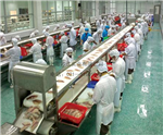 肉类水产输送带